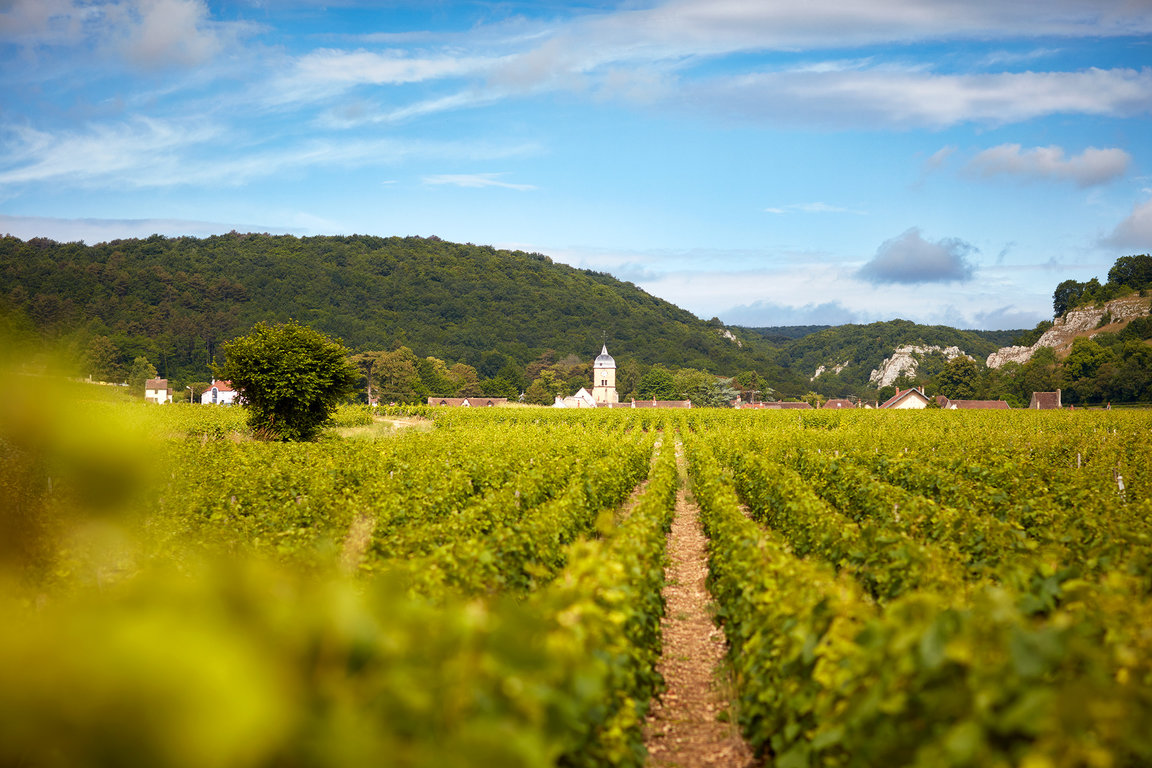 Le village de Chambolle-Musigny, source d'expression de Frédéric Magnien