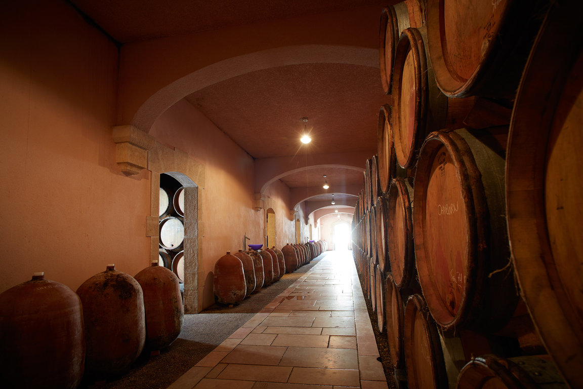 Elevage des vins chez Frédéric Magnien, entre fûts anciens et jarres en terre cuite