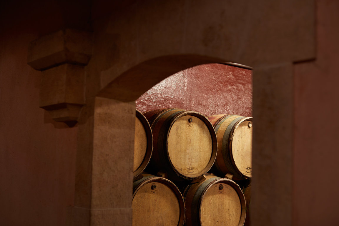 Frédéric Magnien's cellar