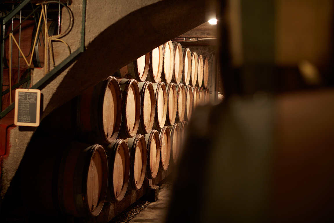 Domaine Michel Magnien's cellar