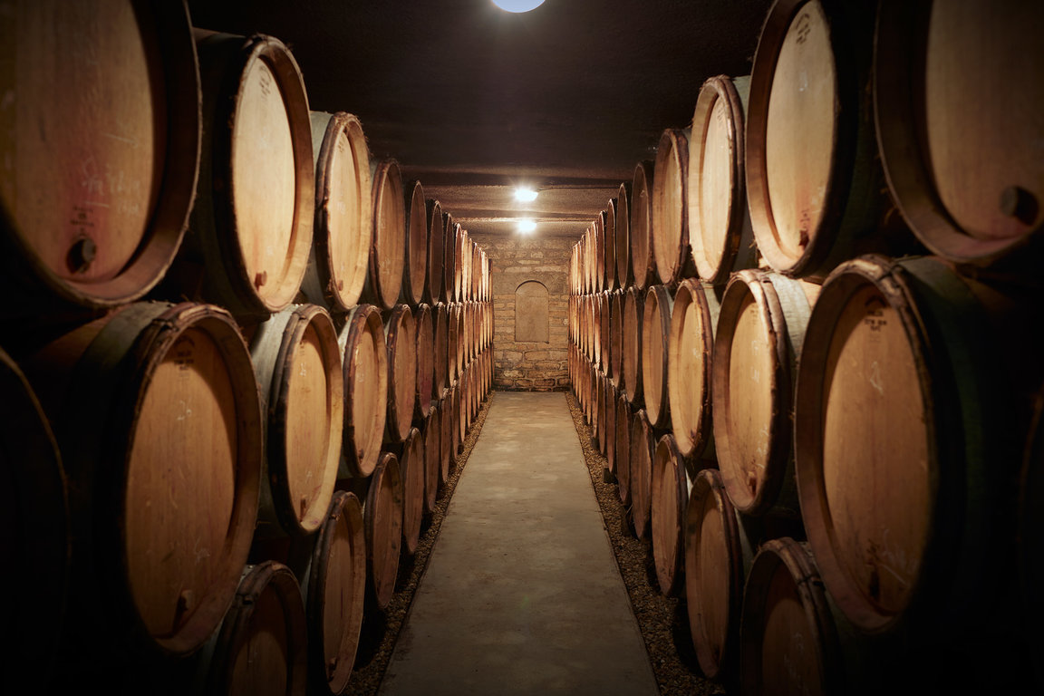 Domaine Michel Magnien's cellar