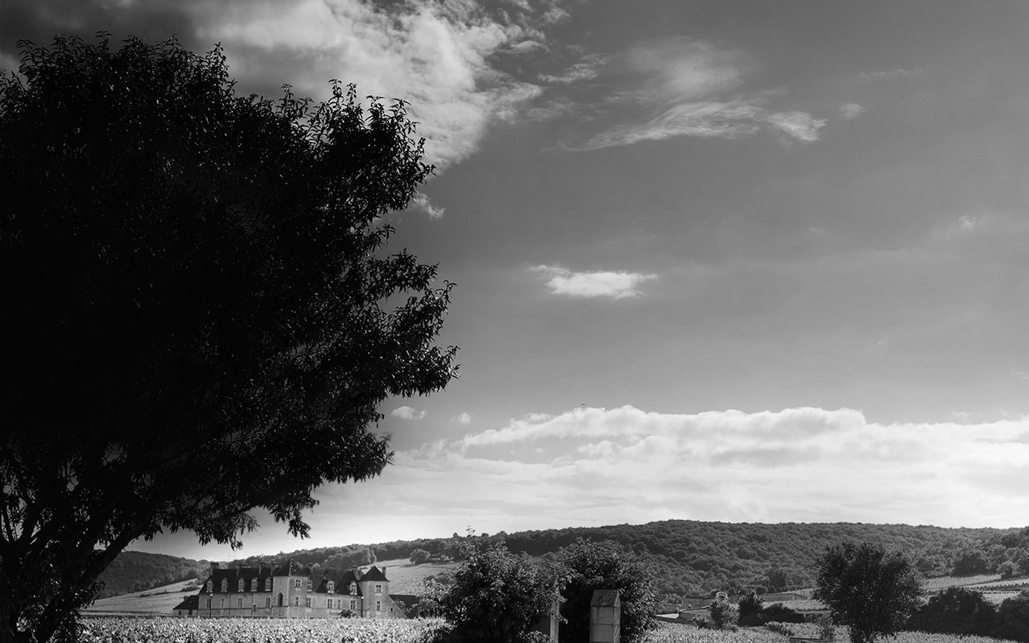 View on the Clos Vougeot from the vineyards of Domaine Magnien